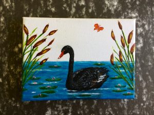 Midnight the Swan
